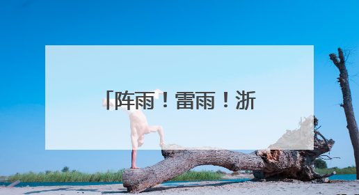 阵雨！雷雨！浙江人注意，端午假期要“泡汤”