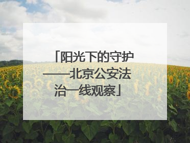 阳光下的守护——北京公安法治一线观察
