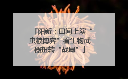 阳新：田间上演“虫粮博弈”看生物武器扭转“战局”