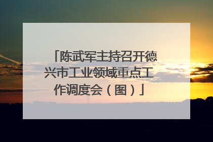 陈武军主持召开德兴市工业领域重点工作调度会（图）
