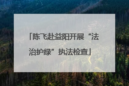 陈飞赴益阳开展“法治护绿”执法检查