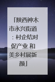 陕西神木市永兴街道：村企结对促产业 和美乡村展新颜