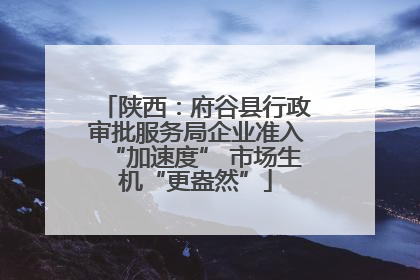 陕西：府谷县行政审批服务局企业准入“加速度” 市场生机“更盎然”