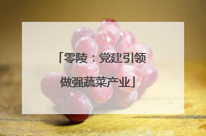 零陵：党建引领 做强蔬菜产业
