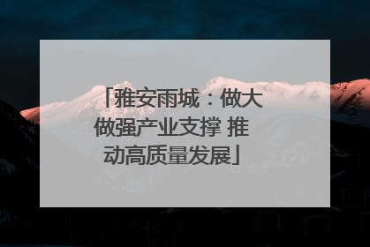 雅安雨城：做大做强产业支撑 推动高质量发展