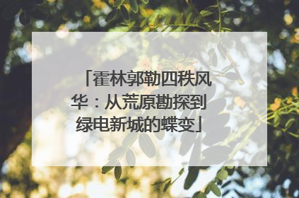 霍林郭勒四秩风华：从荒原勘探到绿电新城的蝶变