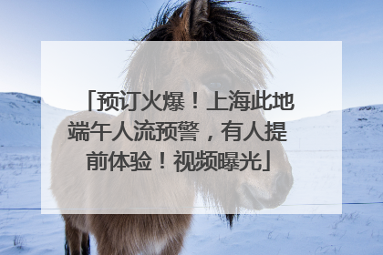 预订火爆！上海此地端午人流预警，有人提前体验！视频曝光