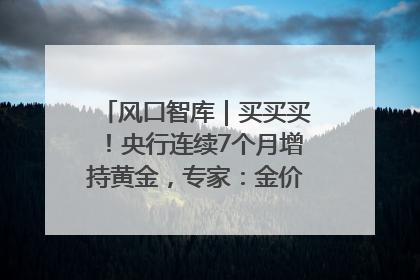 风口智库｜买买买！央行连续7个月增持黄金，专家：金价或仍易涨难跌