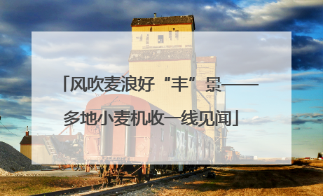 风吹麦浪好“丰”景——多地小麦机收一线见闻
