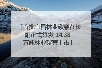 首批宜昌林业碳票在长阳正式签发 14.38万吨林业碳票上市