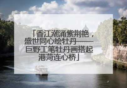 香江潮涌紫荆艳，盛世同心绘牡丹——巨野工笔牡丹画搭起港菏连心桥
