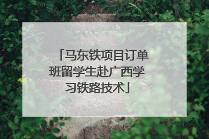 马东铁项目订单班留学生赴广西学习铁路技术