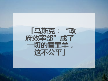 马斯克：“政府效率部”成了一切的替罪羊，这不公平