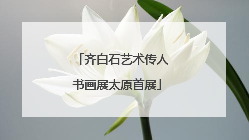 齐白石艺术传人书画展太原首展