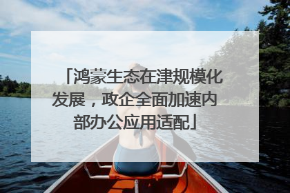 鸿蒙生态在津规模化发展，政企全面加速内部办公应用适配