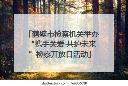 鹤壁市检察机关举办“携手关爱·共护未来”检察开放日活动