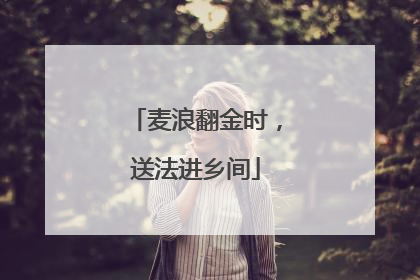 麦浪翻金时，送法进乡间