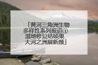 黄河三角洲生物多样性系列报道①湿地修复结硕果 大河之洲展新颜