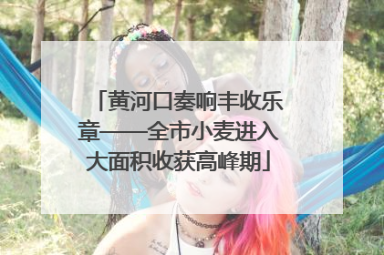 黄河口奏响丰收乐章——全市小麦进入大面积收获高峰期