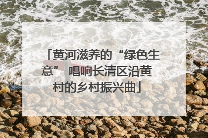 黄河滋养的“绿色生意” 唱响长清区沿黄村的乡村振兴曲
