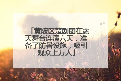 黄陂区楚剧团在露天舞台连演六天，准备了防暑设施，吸引观众上万人