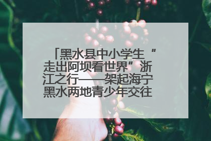 黑水县中小学生“走出阿坝看世界”浙江之行——架起海宁黑水两地青少年交往交流交融新桥梁