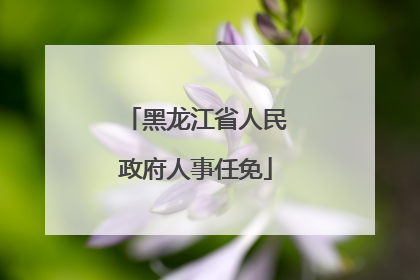 黑龙江省人民政府人事任免