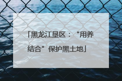黑龙江垦区：“用养结合”保护黑土地
