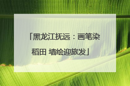 黑龙江抚远：画笔染稻田 墙绘迎旅发
