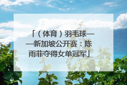 （体育）羽毛球——新加坡公开赛：陈雨菲夺得女单冠军
