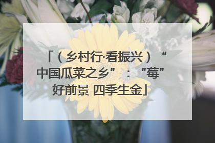 （乡村行·看振兴）“中国瓜菜之乡”：“莓”好前景 四季生金