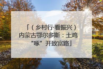 （乡村行·看振兴）内蒙古鄂尔多斯：土鸡“啄”开致富路