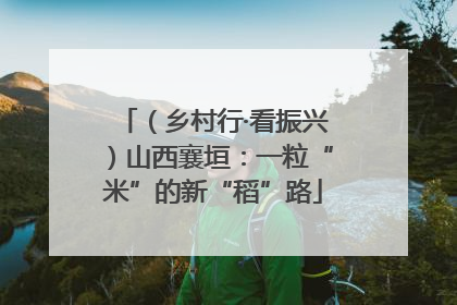 （乡村行·看振兴）山西襄垣：一粒“米”的新“稻”路