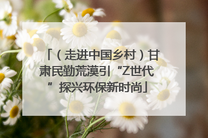 （走进中国乡村）甘肃民勤荒漠引“Z世代”探兴环保新时尚