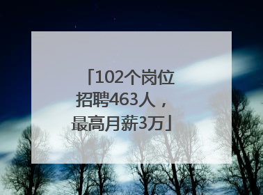 102个岗位招聘463人，最高月薪3万