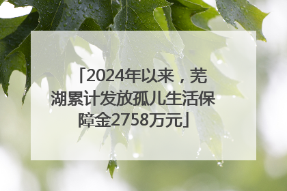 2024年以来，芜湖累计发放孤儿生活保障金2758万元