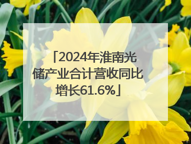 2024年淮南光储产业合计营收同比增长61.6%