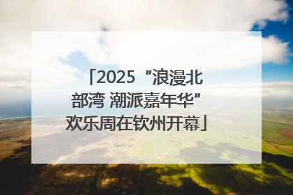 2025“浪漫北部湾 潮派嘉年华”欢乐周在钦州开幕