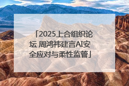2025上合组织论坛 周鸿祎建言AI安全应对与柔性监管