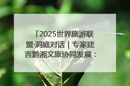 2025世界旅游联盟·洞庭对话｜专家建言黔湘文旅协同发展：聚焦产品稀缺性 深化区域经验共享
