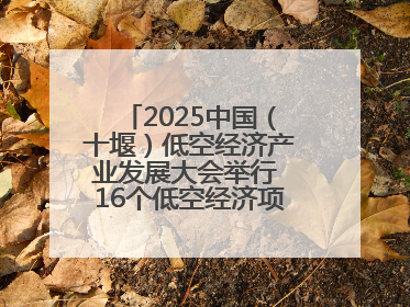 2025中国（十堰）低空经济产业发展大会举行 16个低空经济项目落户车城