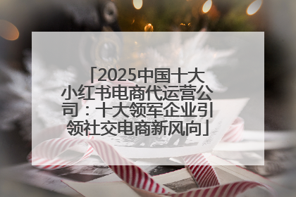 2025中国十大小红书电商代运营公司：十大领军企业引领社交电商新风向