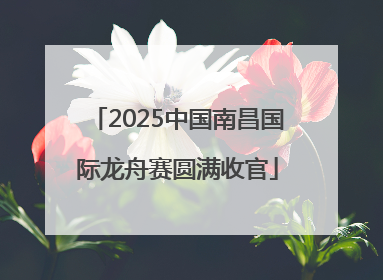 2025中国南昌国际龙舟赛圆满收官
