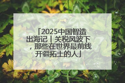 2025中国智造出海记丨关税风波下，那些在世界最前线开疆拓土的人