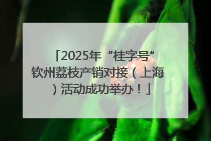 2025年“桂字号”钦州荔枝产销对接（上海）活动成功举办！