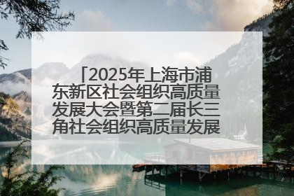 2025年上海市浦东新区社会组织高质量发展大会暨第二届长三角社会组织高质量发展峰会成功举办