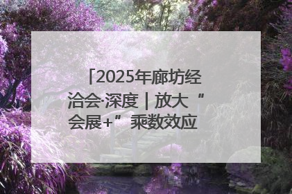 2025年廊坊经洽会·深度｜放大“会展+”乘数效应 打造消费新场景