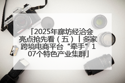 2025年廊坊经洽会亮点抢先看（五）丨多家跨境电商平台“牵手”107个特色产业集群