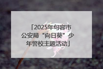 2025年句容市公安局“向日葵”少年警校主题活动