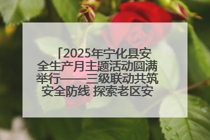 2025年宁化县安全生产月主题活动圆满举行——三级联动共筑安全防线 探索老区安全发展新路径
